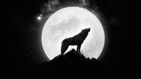 The Lone Wolf Howling at Moon Wallpapers - Top Free The Lone Wolf Howling at Moon Backgrounds ...