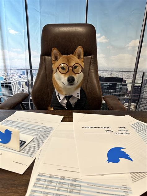 Elon Musk makes his dog the new CEO of Twitter - Shafaq News