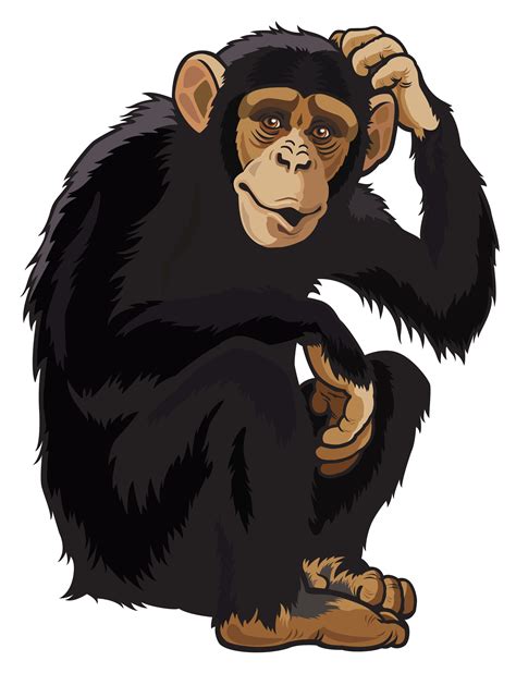 Monkey HD PNG Transparent Monkey HD.PNG Images. | PlusPNG