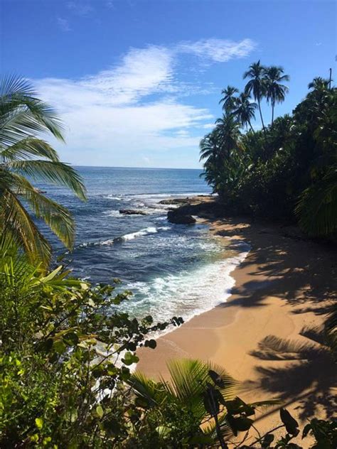 Manzanillo beach Costa Rica | Most stunning beaches Caribbean coast