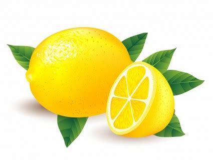 Lemon outline clipart kid - Cliparting.com