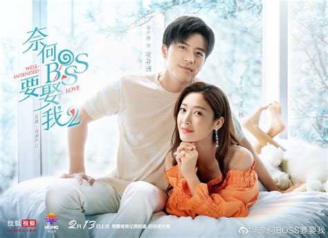 Well Intended Love 2 Summary - C-Drama Love - Show Summary