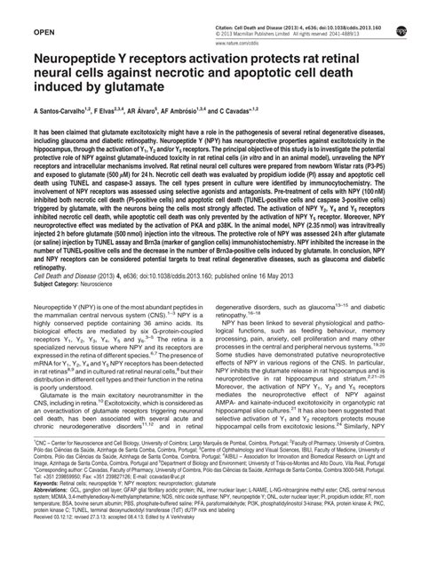 (PDF) Neuropeptide Y receptors activation protects rat retinal neural ...