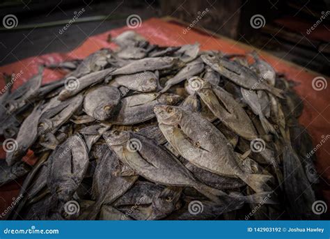 Dried Fish stock photo. Image of sale, dried, nature - 142903192