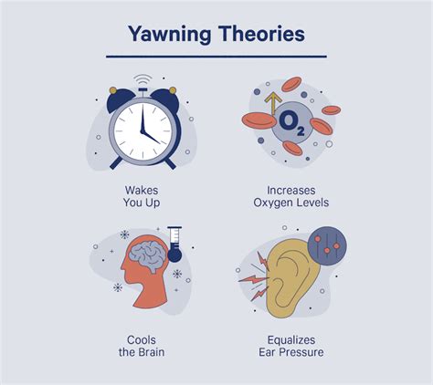 Why Do We Yawn + Are Yawns Really Contagious? - Casper Blog