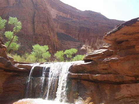 waterfall-in-coyote-gulch-utah-grand-staircase-escalante-national-monumen | Escalante national ...