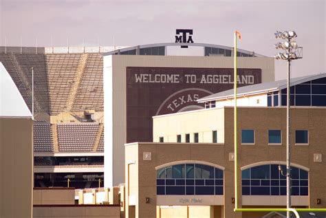 Without Stadium Home, Bats Invade Texas A&M Buildings | The Texas Tribune