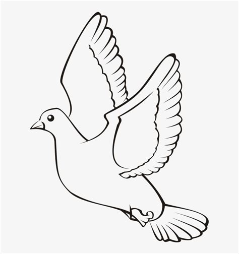 Bird In Flight 4 - Outline Picture Of Bird Flying Transparent PNG ...