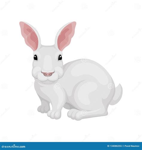 Flat Vector Icon of White Rabbit, Side View. Domestic or Wild Hare ...