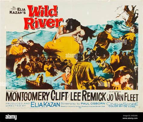 Wild River (1960 poster - half sheet movie poster) feat Montgomery Clift, Lee Remick, Jo Wan ...