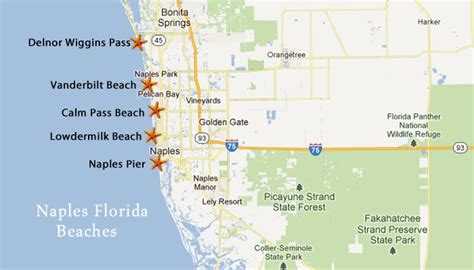 Naples Beach Travel Guide in Southwest Florida | Naples beach, Map of florida, Florida travel