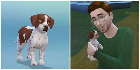 The Sims 4: Cats & Dogs - How To Adopt Pets