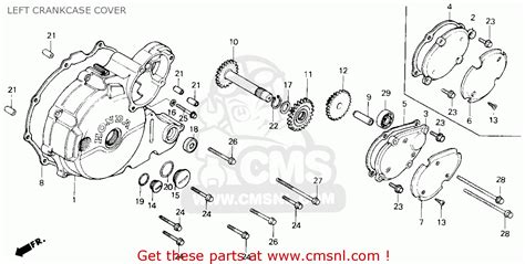 Honda Trx250 Fourtrax 250 1986 (g) Usa Left Crankcase Cover - schematic ...