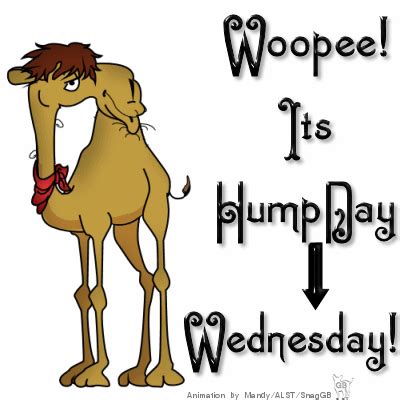 Woopee It's Hump Day Wednesday | Funny good morning quotes, Morning ...