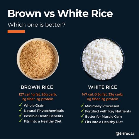 Brown Rice vs White Rice: Which One is Better?