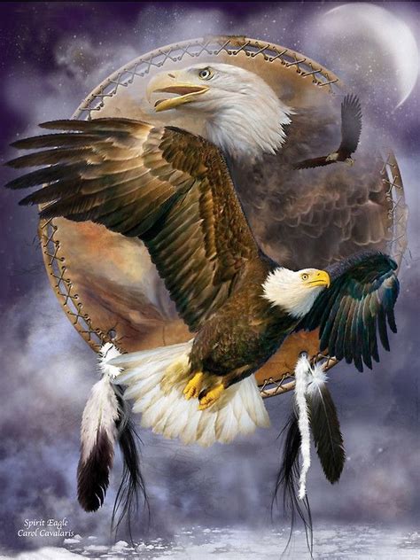 Bald Eagle Native American Pictures, Native American Artwork, American ...