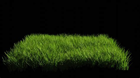 ArtStation - Ornamental Grass