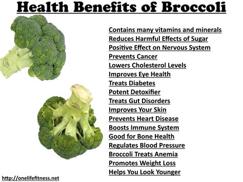 health benefits of broccoli - Fresh fitness