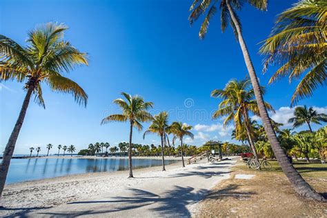 The Round Beach at Matheson Hammock County Park Miami Stock Image ...