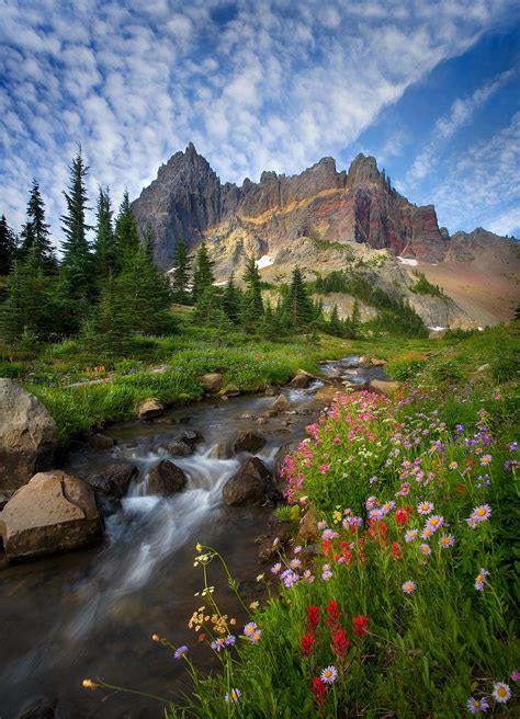 Beautiful Day (2006) | Jefferson Wilderness, Oregon | Marc Adamus Photography