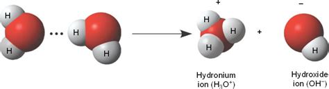 hydroxyl.html 04_10aChemicalGroups-L.jpg