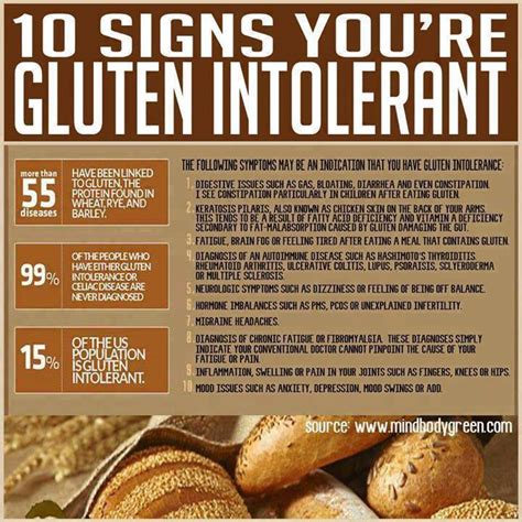 The Gluten Free Diet Plan: What You Need To Know