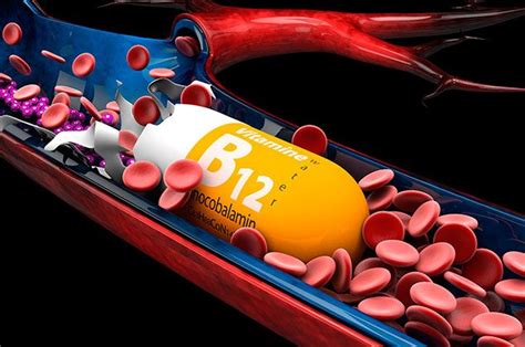 Anemia por Deficiencia de Vitamina B12 | Patología clínica Wiki | Fandom