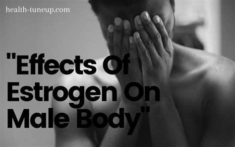 Effects Of Estrogen On Male Body: What Happens When It's High?