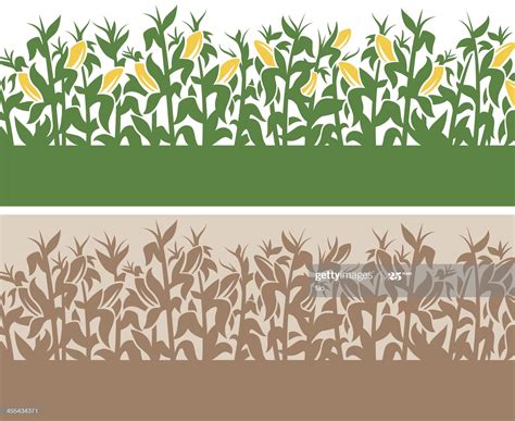 Detailed corn-themed field border with copy space. | Field wallpaper ...