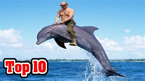 Top 151 + Fastest animal in water in the world - Lifewithvernonhoward.com