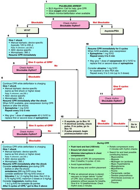 Acls Ventricular Fib Algorithm | SexiezPix Web Porn