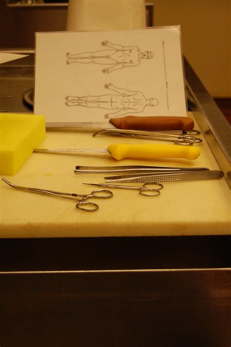 Autopsy tools in the Vancouver General Hospital morgue | Flickr