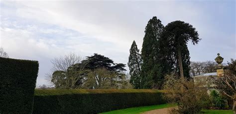 The Gardens - Somerleyton