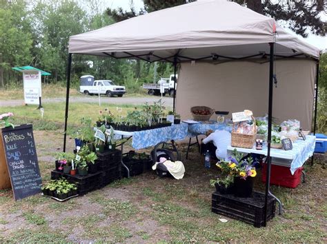 a small 10ftx10ft tent is all we need to sell our produce, veggies and ...