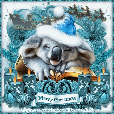 Santa Koala