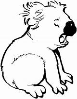 Free Printable Koala Coloring Pages For Kids sketch template