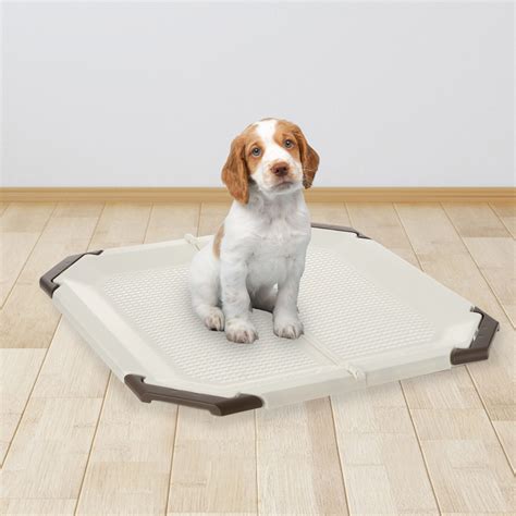 Potty Pad Holder | Paw Trax Doggy Tray | Puppy Training Tray