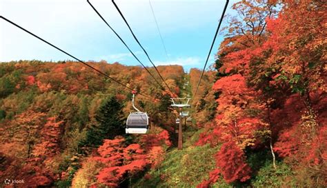 20 Best Spots for Autumn in Japan (Fall Foliage Viewing)