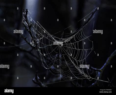 Spooky Spider's Web Stock Photo - Alamy