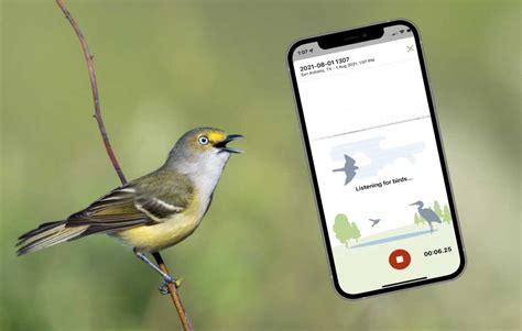 Identify bird songs using your phone with Merlin - Because Birds