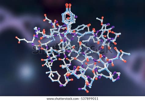 Molecular Model Insulin Molecule 3d Illustration Stock Illustration ...