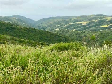 Here are the most scenic hiking trails in Orange County!