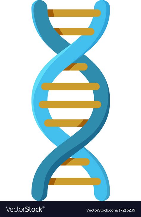 Genetics icon cartoon style Royalty Free Vector Image