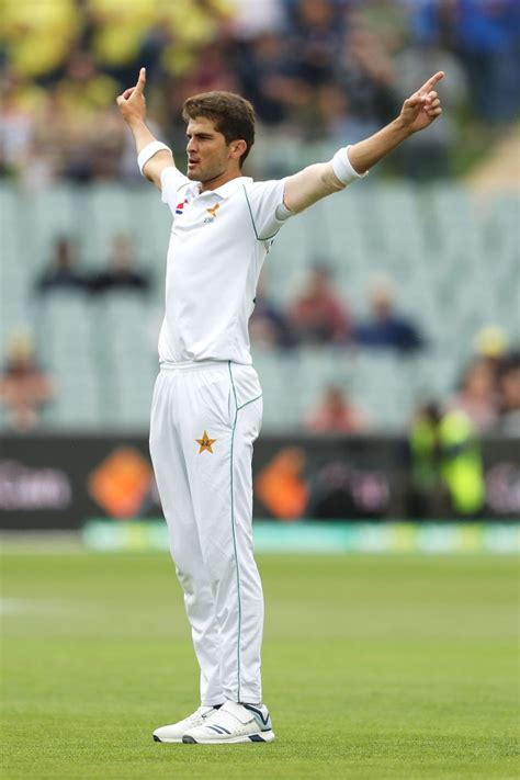 Basit Ali backing which two Pakistan players to keep improving every day?