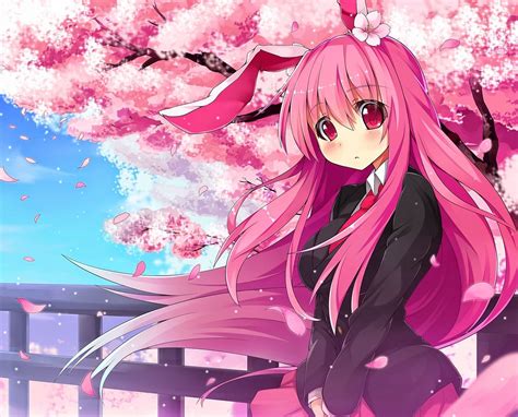 Konachan.com+-+177633+animal_ears+bunny_ears+cherry_blossoms+long_hair ...