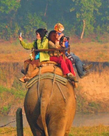 Chitwan jungle safari | Holiday activities in Chitwan