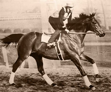 File:Seabiscuit workout with GW up.jpg - Wikipedia