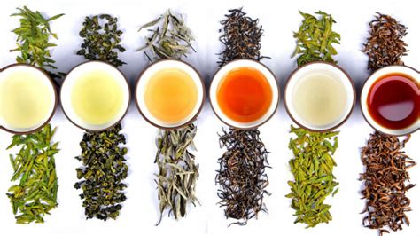 6 Types of Chinese Tea - China Tea Spirit