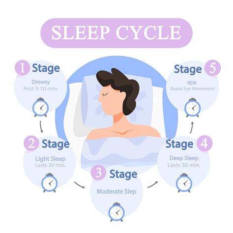 What Is Happening At The Different Stages Of Sleep Cy - vrogue.co