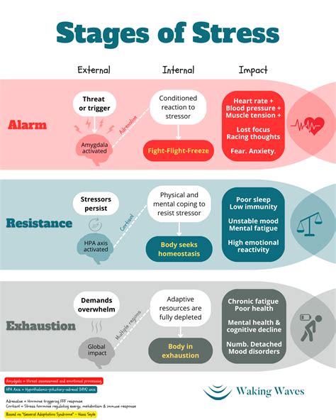 How the 3 stages of Stress can lead to Burnout | Waking Waves — Waking Waves